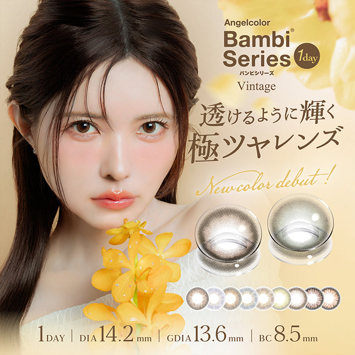 Angelcolor, Bambi Series Vintage 1day バンビシリーズ, 透けるように輝く極ツヤレンズ, New color Debut, 1day, DIA14.2mm, GDIA13.6mm, BC8.5mm | エンジェルカラーバンビシリーズヴィンテージワンデー Angelcolor Bambi Series Vintage 1day カラコン カラーコンタクト