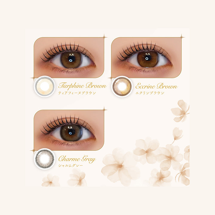 (ラインナップ3)Ferenne Lens Line up, ティアフィーヌブラウン(Tierpfine Brown), エクリンブラウン(Eccrine Brown), シャルムグレー(Charme Gray) | フェレーヌ ferenne 1day カラコン カラーコンタクト
