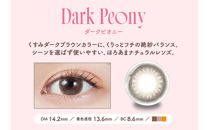 モラクワンデー(MOLAK 1day),Dark Peony,ダークピオニー,くすみダークブラウンカラーに、くりっとフチの絶妙バランス。 シーンを選ばず使いやすい、 ほろあまナチュラルレンズ。,DIA 14.2mm,着色直径 13.6mm,BC8.6mm|モラクワンデー MOLAK 1day カラコン カラーコンタクト