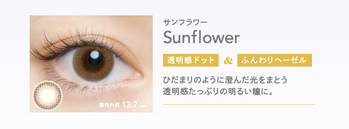 クルーム(CRUUM),サンフラワー,Sunflower,透明感ドット&ふんわりヘーゼル,ひだまりのように澄んだ光をまとう透明感たっぷりの明るい瞳に。|クルーム CRUUM カラコン カラーコンタクト