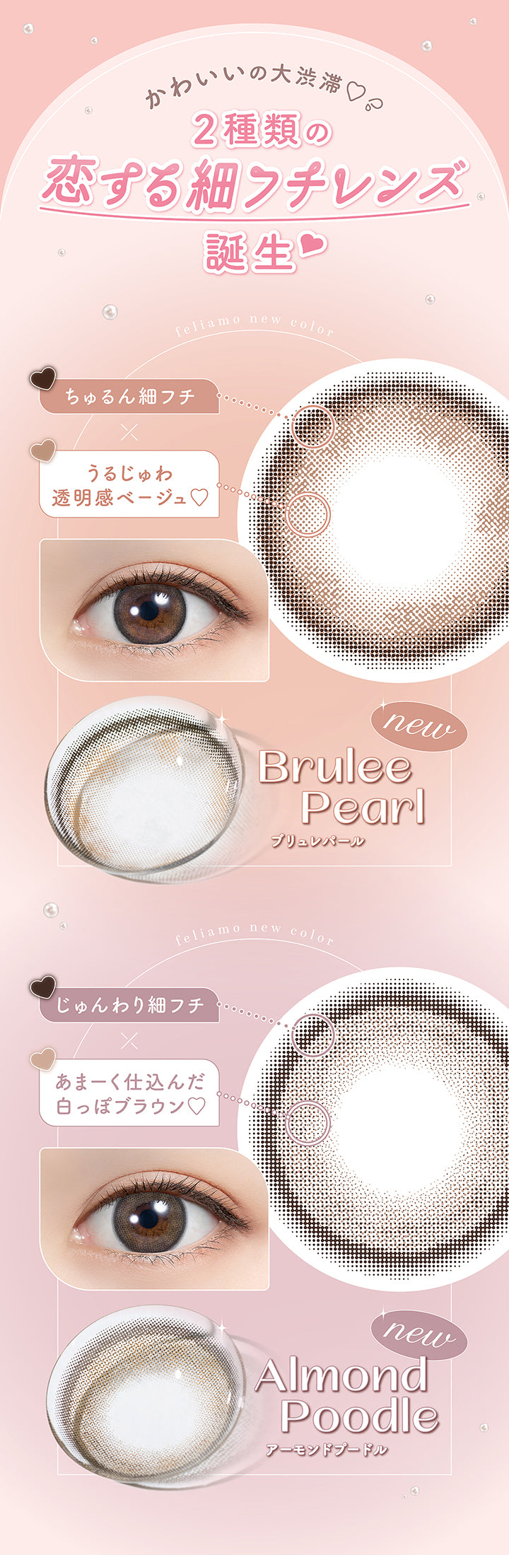 かわいいの大渋滞,2種類の恋する細フチレンズ誕生♡,feliamo New color,ブリュレパール(Brulee Pearl),ちゅるん細フチ × うるじゅわ透明感ベージュ♡,feliamo New color,アーモンドプードル(Almond Poodle),じゅんわり細フチ × あまーく仕込んだ白っぽブラウン | フェリアモ feliamo 1day カラコン カラーコンタクト