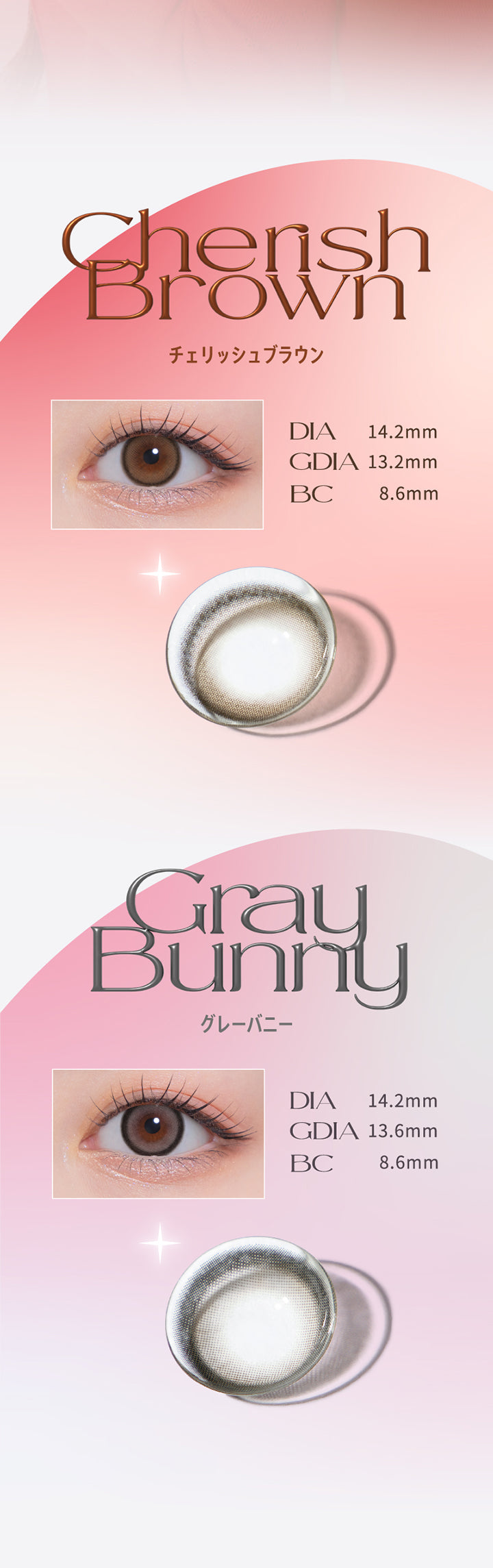 チェリッシュブラウン(Cherish Brown) DIA14.2mm GDIA13.2mm BC8.6mm,グレーバニー(Gray Bunny) DIA14.2mm GDIA13.2mm BC8.6mm | モラクワンデー Molak 1day カラコン カラーコンタクト
