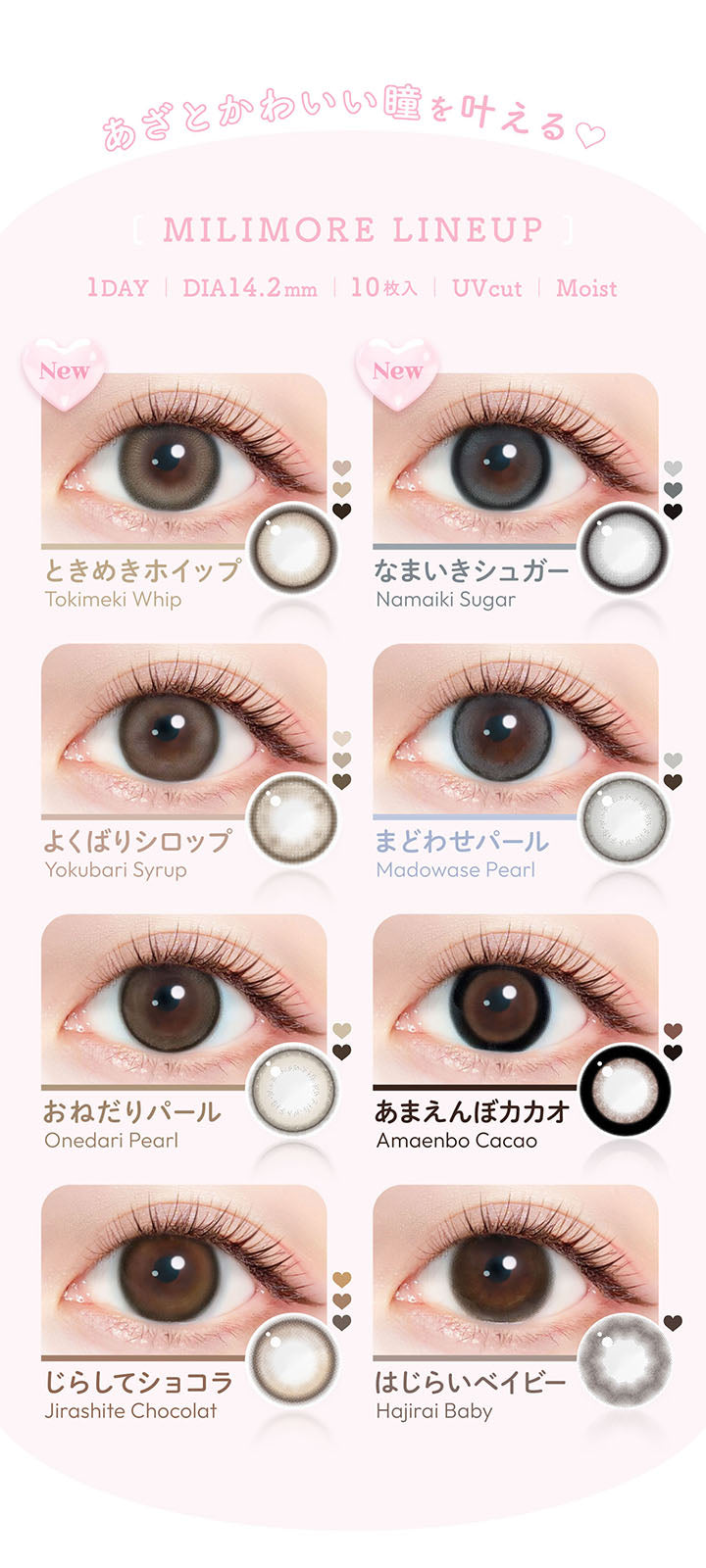 あざとかわいい瞳を叶える, Milimore Line up, 1day, DIA14.2mm, 10枚入, UVcut, Moist, New ときめきホイップ Tokimeki Whip, New なまいきシュガー Namaiki Sugar, よくばりシロップ Yokubari Syrup, まどわせパール Madowase Pearl, おねだりパール Onedari Pearl, あまえんぼカカオ Amaenbo Cacao, じらしてショコラ Jirashite Chocolat, はじらいベイビー Hajirai Baby |  エバーカラーワンデーミリモア EverColor1day MILIMORE カラコン カラーコンタクト