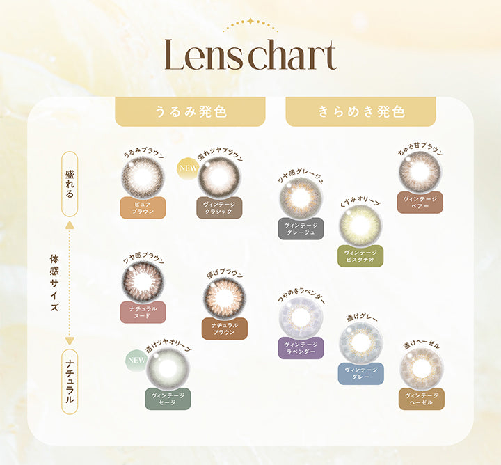 Lens chart, うるみ発色 × 盛れる(体感サイズ大), うるみブラウン ピュアブラウン, New 濡れツヤブラウン ヴィンテージクラシック, ツヤ感ブラウン ナチュラルヌード, うるみ発色 × ナチュラル(体感サイズ小), 儚げブラウン ナチュラルブラウン, New 透けツヤオリーブ, ヴィンテージセージ, きらめき発色 × 盛れる(体感サイズ大), ちゅる甘ブラウン ヴィンテージベアー, ツヤ感グレージュ ヴィンテージグレージュ, くすみオリーブ ヴィンテージピスタチオ, きらめき発色 × ナチュラル(体感サイズ小), ツヤめきラベンダー ヴィンテージラベンダー, 透けグレー ヴィンテージグレー, 透けヘーゼル ヴィンテージヘーゼル | エンジェルカラーバンビシリーズヴィンテージワンデー Angelcolor Bambi Series Vintage 1day カラコン カラーコンタクト