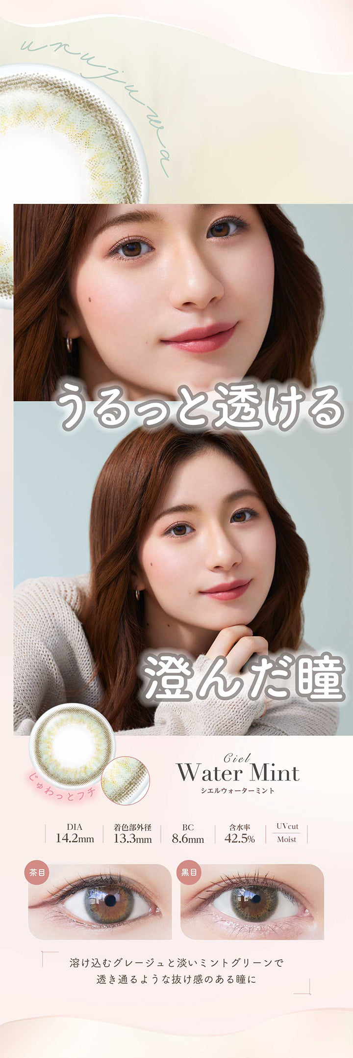 ネオサイトワンデーシエルUV(NeoSight oneday Ciel UV),うるっと透ける,じゅわ澄んだ瞳,CielWaterMint,シエルウォーターミント,DIA14.2mm,着色部外径13.3mm,BC8.6mm,含水率42.5%,UV cut,Moist,溶け込むグレージュと淡いミントグリーンで透き通るような抜け感のある瞳に|ネオサイトワンデーシエルUV(NeoSight oneday Ciel UV) カラコン カラーコンタクト