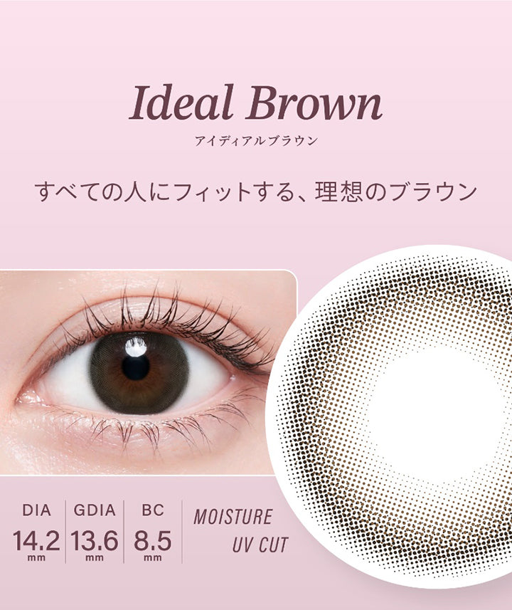 アイディアルブラウン(Ideal Brown) DIA14.2mm GDIA13.6mm BC8.5mm Moisture UVCut,すべての人にフィットする、理想のブラウン | ハイディ Haidey 1day カラコン カラーコンタクト