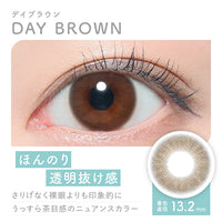 ピュアリティバイダイヤサークルワンデー(Purity by Diya CIRCLE 1day) デイブラウン