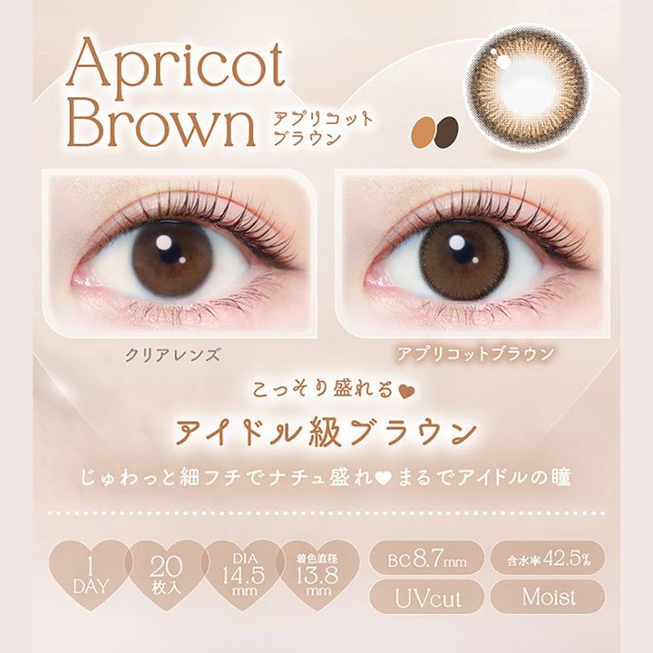 Apricot Brown, アプリコットブラウン, クリアレンズ, アプリコットブラウン, こっそり盛れる♥アイドル級ブラウン, じゅわっと細フチでナチュ盛れ♥まるでアイドルの瞳, 1day, 20枚入り, DIA14.5mm, 着色直径13.8mm, BC8.7mm, 含水率42.5%, UVcut, Moist | エバーカラーワンデーナチュラル Ever Color 1day Natural 1day カラコン カラーコンタクト