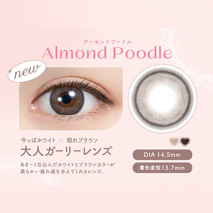 アーモンドプードル(Almond Poodle),new,今っぽホワイト × 隠れブラウン,大人ガーリーレンズ,あまーく仕込んだホワイトとブラウンカラーが柔らかい盛れ感を与えてくれるレンズ,DIA14.5mm,着色直径13.7mm | フェリアモ feliamo 1day カラコン カラーコンタクト