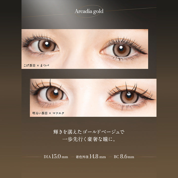 Arcadia gold, こげ茶目 × まつパ, 明るい茶目 × まつエク, 輝きを湛えたゴールドベージュで一歩先行く豪奢な瞳に。, DIA15.0mm, 着色外径14.8mm, BC8.6mm |ラヴェール loveil 1day カラコン カラーコンタクト