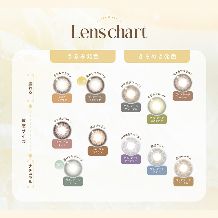 Lens chart, うるみ発色 × 盛れる(体感サイズ大), うるみブラウン ピュアブラウン, New 濡れツヤブラウン ヴィンテージクラシック, ツヤ感ブラウン ナチュラルヌード, うるみ発色 × ナチュラル(体感サイズ小), 儚げブラウン ナチュラルブラウン, New 透けツヤオリーブ, ヴィンテージセージ, きらめき発色 × 盛れる(体感サイズ大), ちゅる甘ブラウン ヴィンテージベアー, ツヤ感グレージュ ヴィンテージグレージュ, くすみオリーブ ヴィンテージピスタチオ, きらめき発色 × ナチュラル(体感サイズ小), ツヤめきラベンダー ヴィンテージラベンダー, 透けグレー ヴィンテージグレー, 透けヘーゼル ヴィンテージヘーゼル | エンジェルカラーバンビシリーズヴィンテージワンデー Angelcolor Bambi Series Vintage 1day カラコン カラーコンタクト