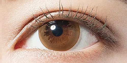 デコラティブアイズヴェール(DECORATIVE EYES VEIL) ハニーグラス