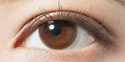 デコラティブアイズヴェール(DECORATIVE EYES VEIL) アーモンドベージュ