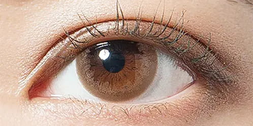 デコラティブアイズヴェール(DECORATIVE EYES VEIL) コーラルブルーム