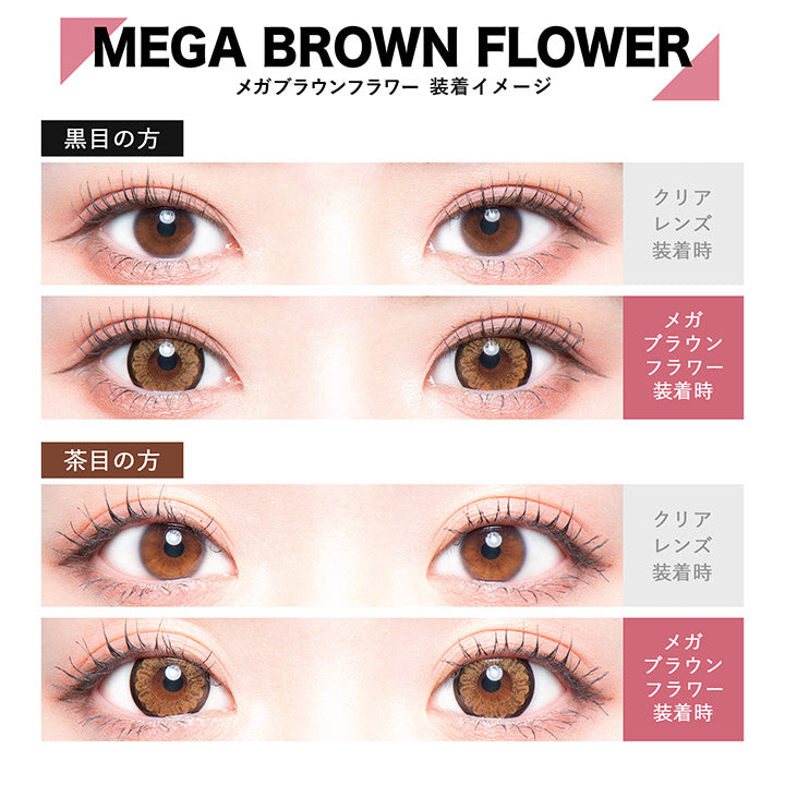 カラーズ(colors) メガブラウンフラワー