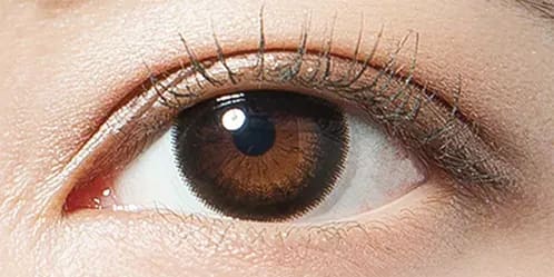 デコラティブアイズヴェール(DECORATIVE EYES VEIL) ダークミスト