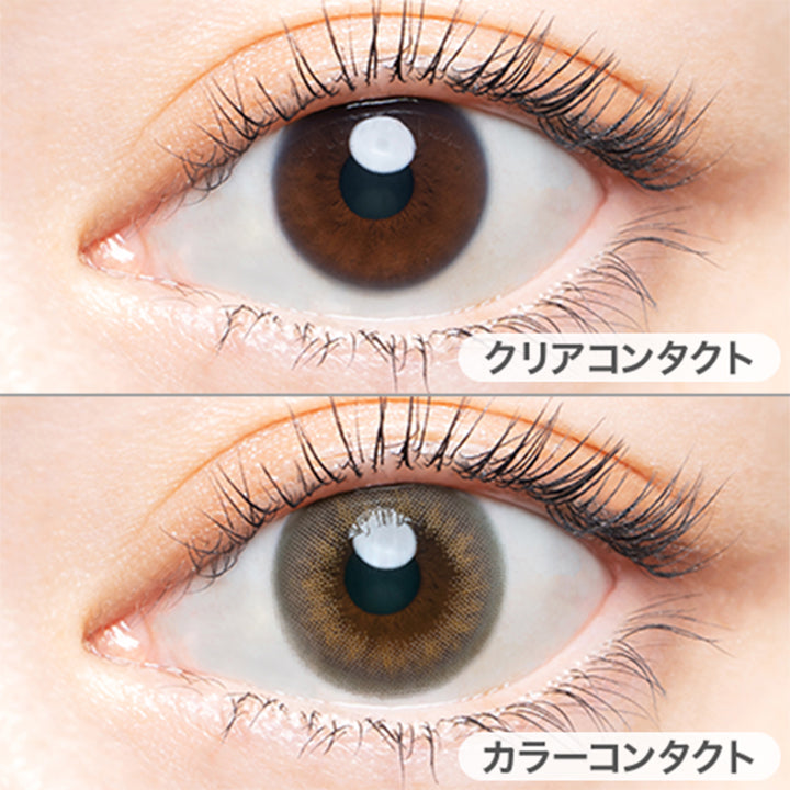ヴィンテージグレージュ(Vintage  Grege)の装用画像  | エンジェルカラーバンビシリーズヴィンテージワンデー Angelcolor Bambi Series Vintage 1day カラコン カラーコンタクト