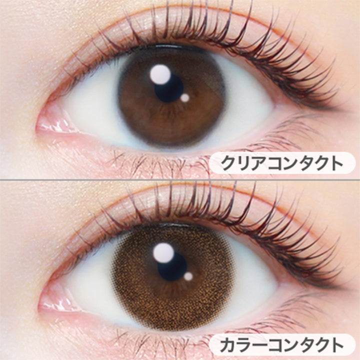 シフォンブラウン(Chiffon Brown)の装用写真|エバーカラーワンデーナチュラルモイストレーベルUV EverColor1day Natural MOIST LABEL UV 1day カラコン カラーコンタクト