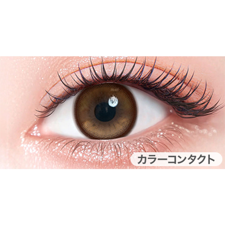 ハニーグロス(Honey Gloss)の装用画像 | カラーズワンデー colors 1day カラコン カラーコンタクト