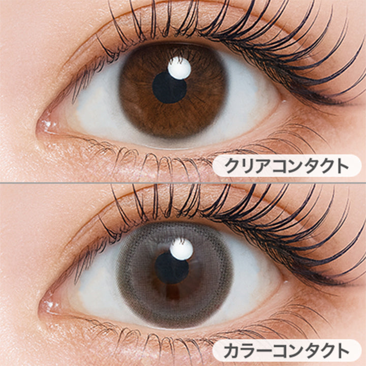ハルツグレー(Halze Gray)の装用画像 | フェユナワンデーモイスティン Feyuna 1day moistin カラコン カラーコンタクト