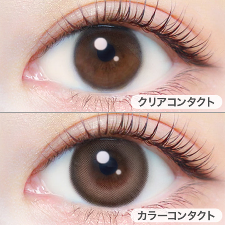 ミルクブラウニー(Milk Brownie)の装用写真 | エバーカラーワンデーナチュラル Ever Color 1day Natural 1day カラコン カラーコンタクト