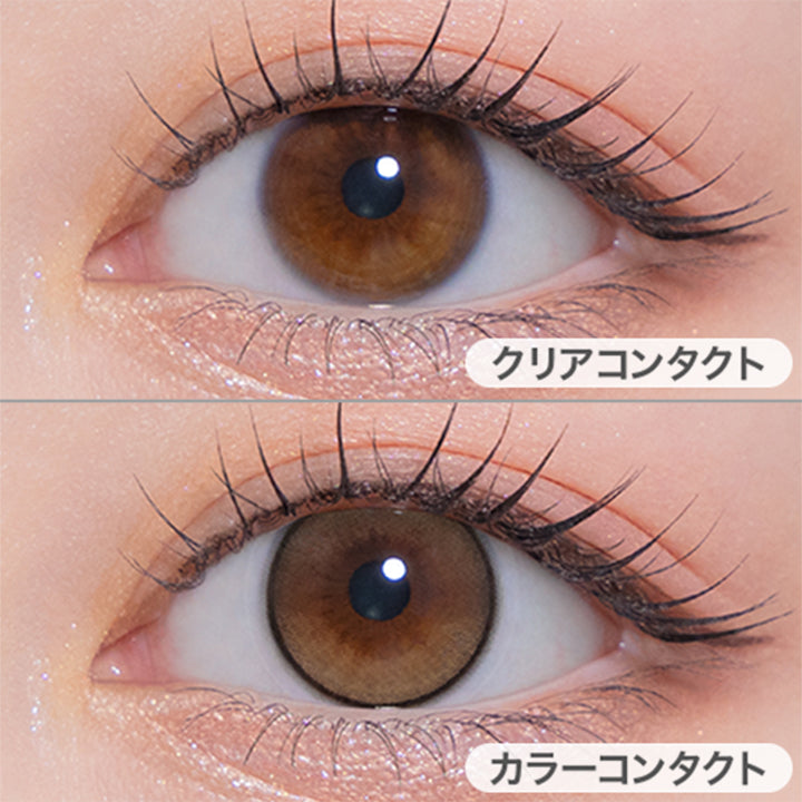 ドーリッシュブラウン(Dollish Brown)の装用画像 | モラクワンデー Molak 1day カラコン カラーコンタクト