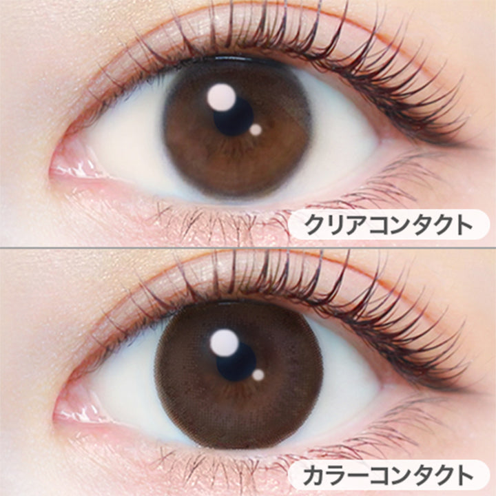 ナチュラルブラウン(Natural Brown)の装用画像 | エバーカラーワンデートーリック Evercolor1Day Toric 乱視用 カラコン カラーコンタクト
