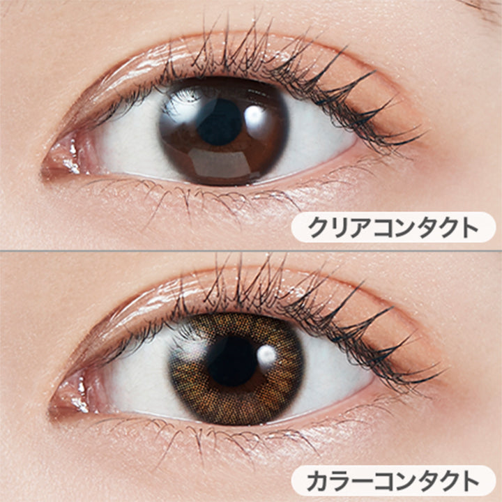 コーラルブラウン(Coral Brown)の装用写真|モラクワンデー MOLAK 1day カラコン カラーコンタクト