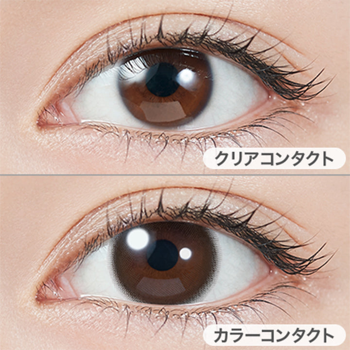 ベイビーエスプレッソ(Baby Espresso)の装用画像 | トパーズトーリック TOPARDS TORIC 1day カラコン カラーコンタクト