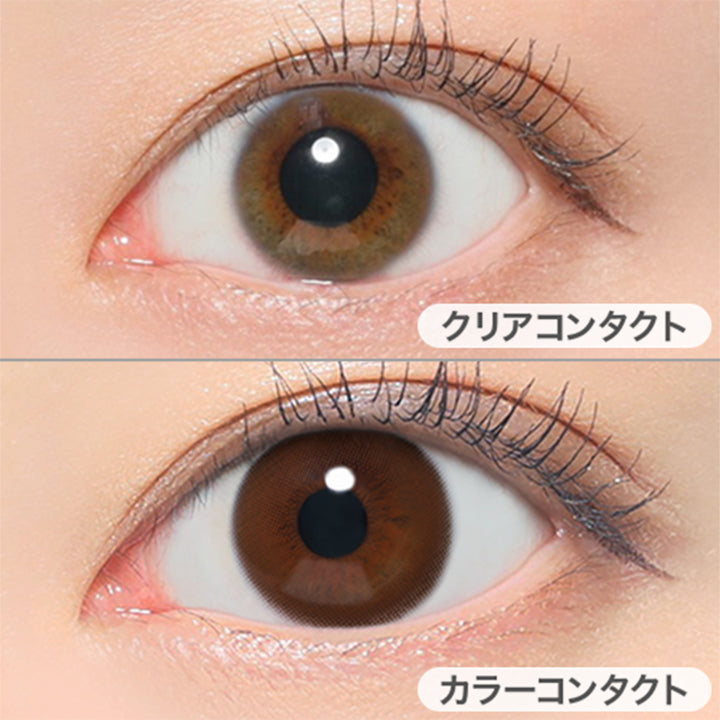 シャイブラウンの装用写真|レヴィアワンデーサークル ReVIA 1DAY CIRCLE カラコン カラーコンタクト