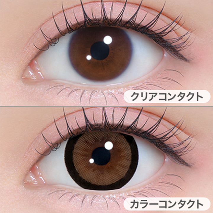 みつめてブラウニー (Mitsumete Brownie)の装用画像 | シャプン Chapun 1day カラコン カラーコンタクト