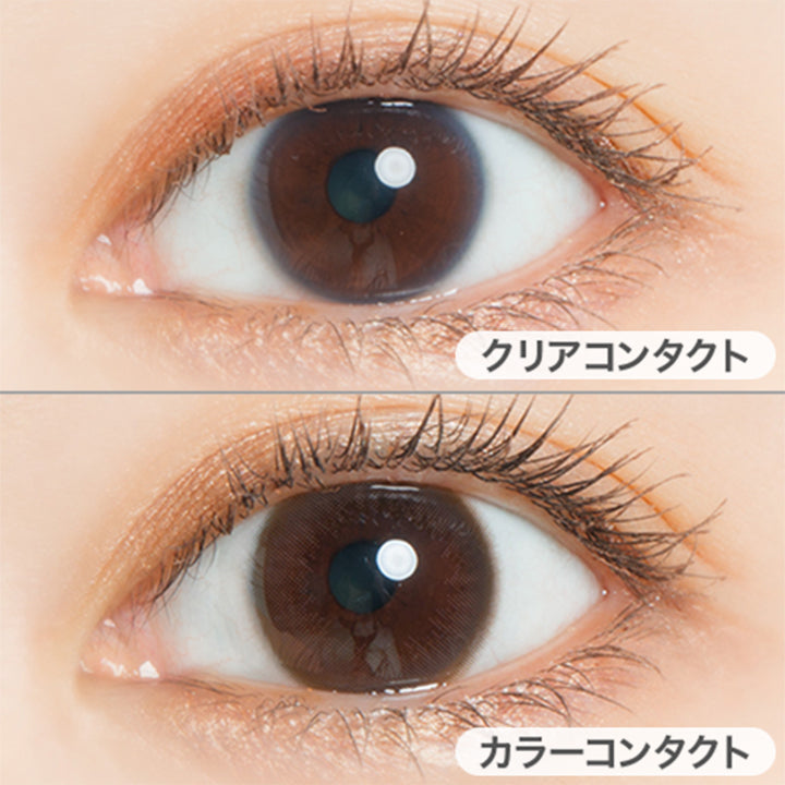 リトルブラウン(Little Brown)の装用画像 | フェアリーワンマンス Fairy 1Month カラコン カラーコンタクト