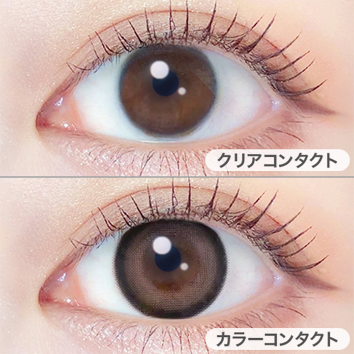 テディモカ(Teddy Mocha)の装用画像 | エバーカラーマンスリー EverColor monthly カラコン カラーコンタクト