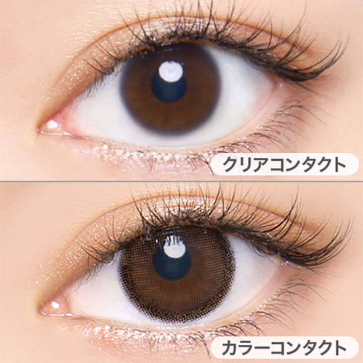 ピュアブラウン(Pure Brown)の装用写真|エンジェルカラーバンビシリーズワンデーナチュラル Angelcolor Bambi Series 1day Natural カラコン カラーコンタクト