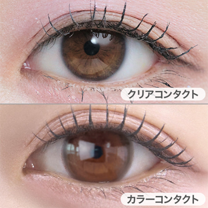 シフォンブラウン(Chiffon Brown)の装用画像 | メイリーシフォンワンデー meilly chiffon 1day カラコン カラーコンタクト