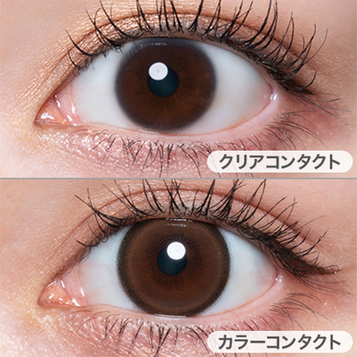 ベべブラン(Bebe brun)の装用写真|キュプリエ Quprie 1day カラコン カラーコンタクト