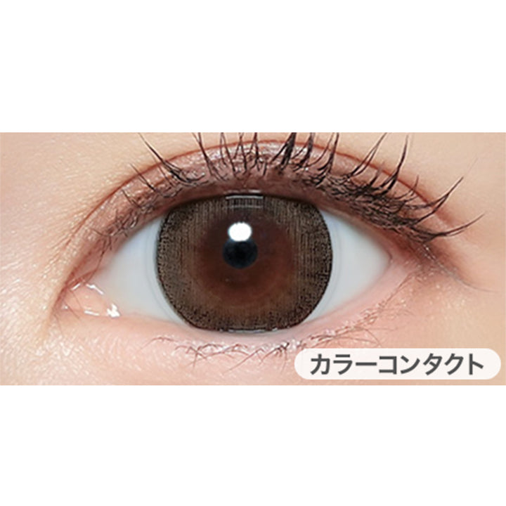 マジェスティックブラウン(Majestic Brown)の装用画像 | マジェットリラックス majette relax 1day カラコン カラーコンタクト