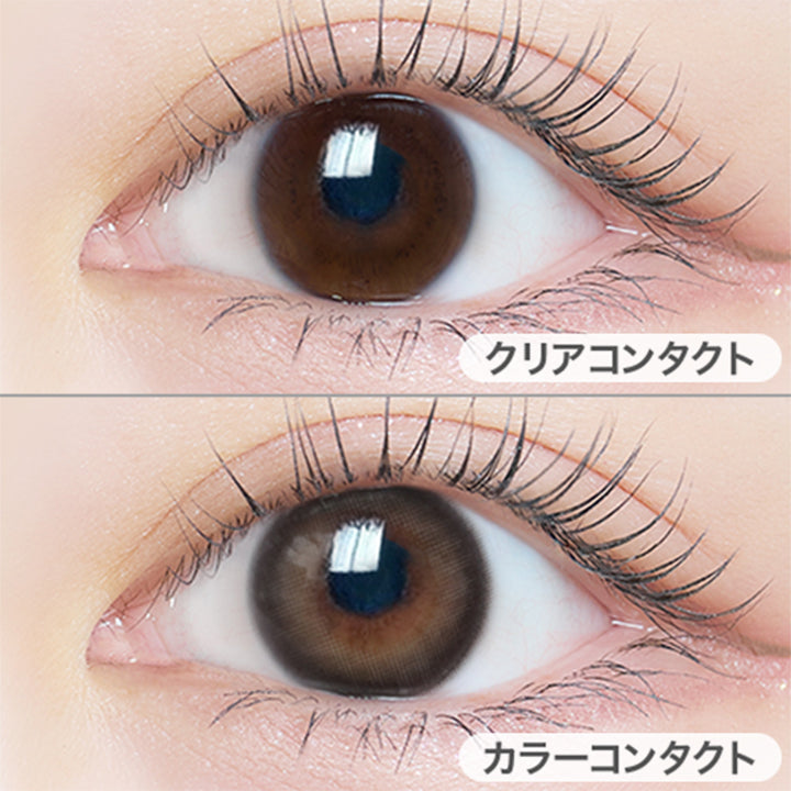 チュチュノアール(Chouchou Noir)の装用写真|エルージュ eRouge 2week カラコン カラーコンタクト