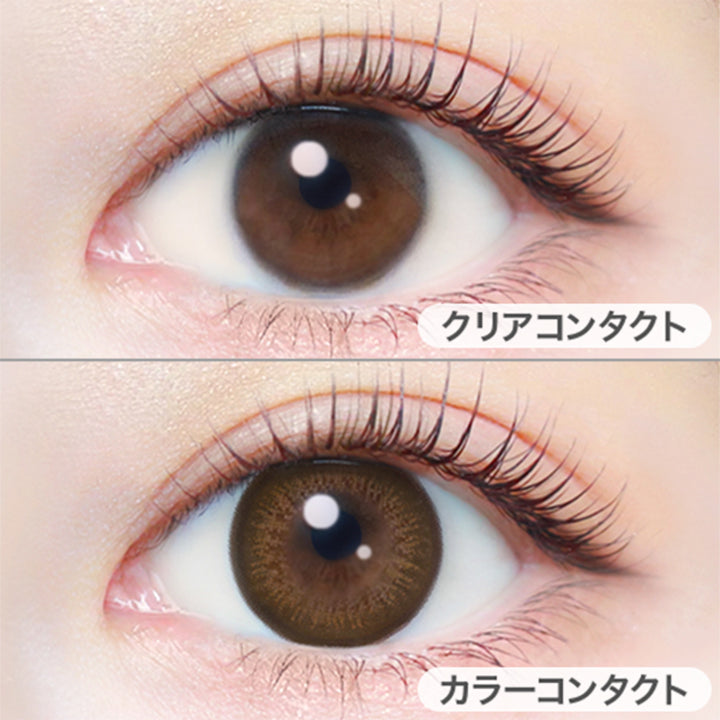 シャンパンブラウン(Champagne Brown)の装用写真|エバーカラーワンデーナチュラル EverColor1day Natural カラコン カラーコンタクト