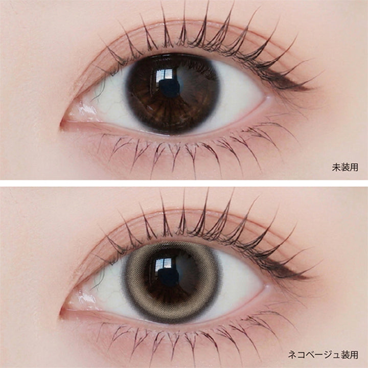 ネコベージュ(Neko Beige)の装用画像 | アンジェリークワンデー Angelique 1Day カラコン カラーコンタクト