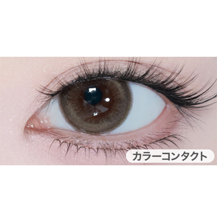 デイグローブラウン(Dayglow Brown)の装用画像 |アイスター eyestar 1day カラコン カラーコンタクト