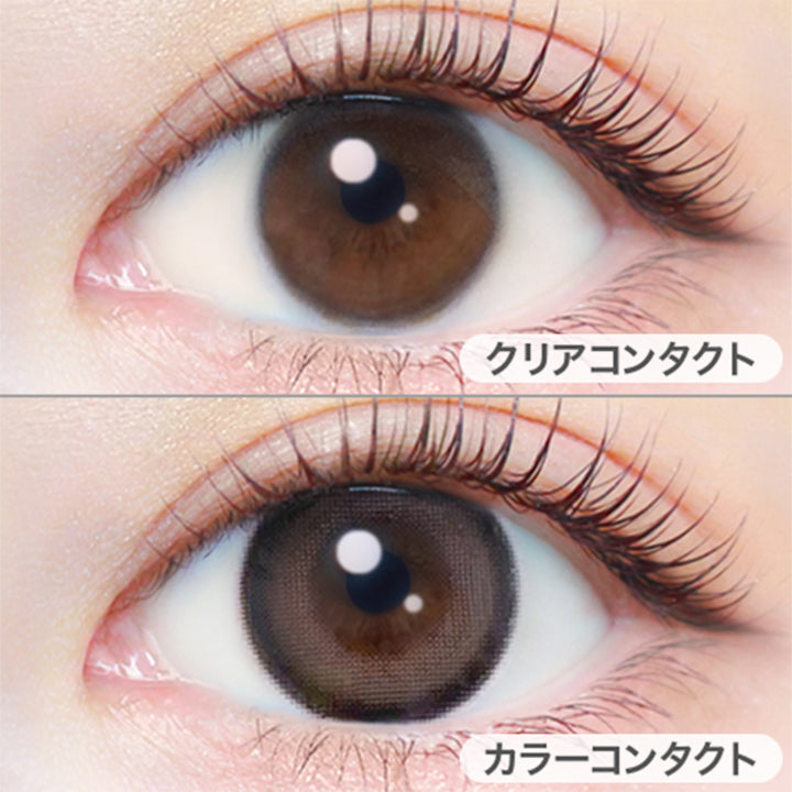 テディモカ(Teddy Mocha)の装用写真 | エバーカラーワンデーナチュラル Ever Color 1day Natural 1day カラコン カラーコンタクト