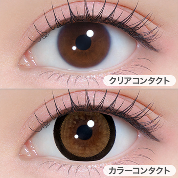 おめかしキャメル (Omekashi Camel)の装用画像 | シャプン Chapun 1day カラコン カラーコンタクト