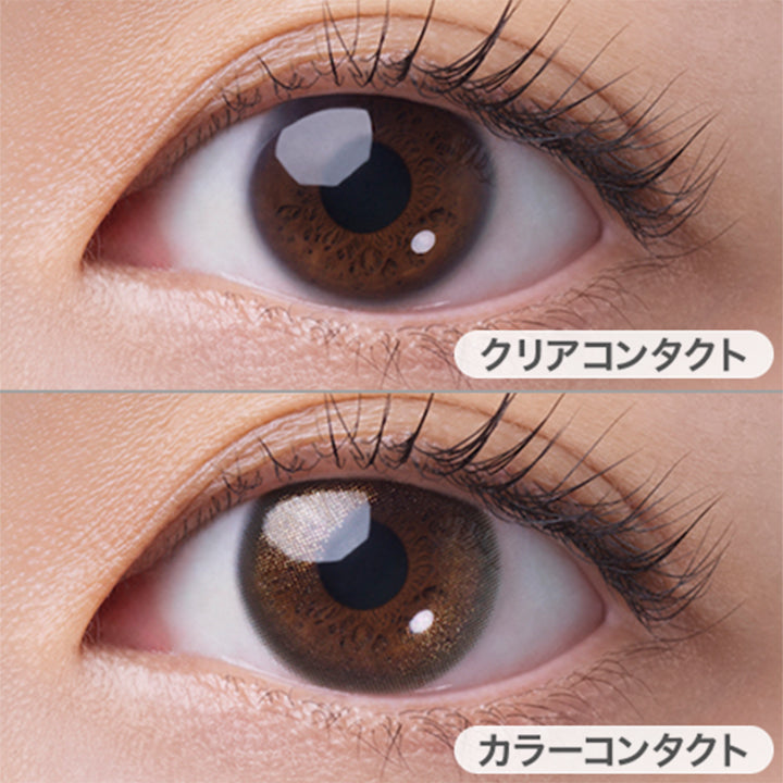 ハイライター(Highlighter)の装用写真|フェアリーワンマンス FAIRY 1month カラコン カラーコンタクト