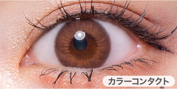 モカダークブラウン(うるうるチワワ)の装用画像 | フルーリーバイカラーズ Flurry by colors 1day カラコン カラーコンタクト