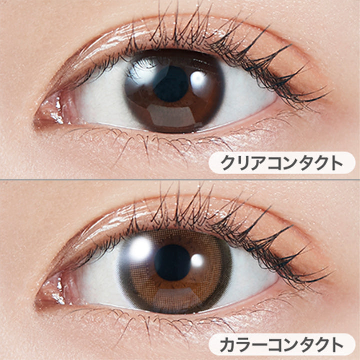 ブラウンバニー(Brown Bunny)の装用写真|モラクワンデー MOLAK 1day カラコン カラーコンタクト