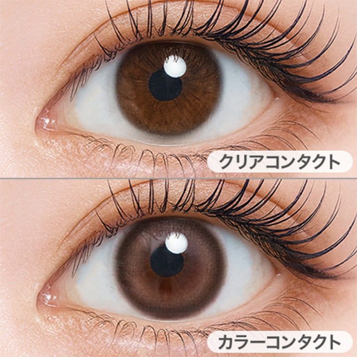 ブレニーブラウン(Breny Brown)の装用画像 | フェユナワンデーモイスティン Feyuna 1day moistin カラコン カラーコンタクト