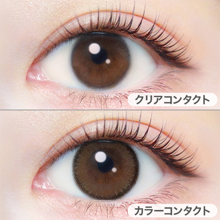 アプリコットブラウン(Apricot Brown)の装用写真|エバーカラーワンデーナチュラル EverColor1day Natural カラコン カラーコンタクト