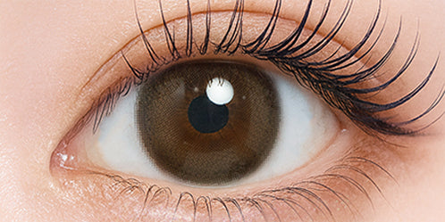 シャルトンワンデー(Charton 1DAY) ビスケットスモア