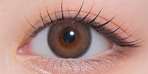 モラクワンデー(MOLAK 1day) ダークピオニー